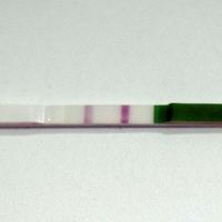 TO  7 DPO