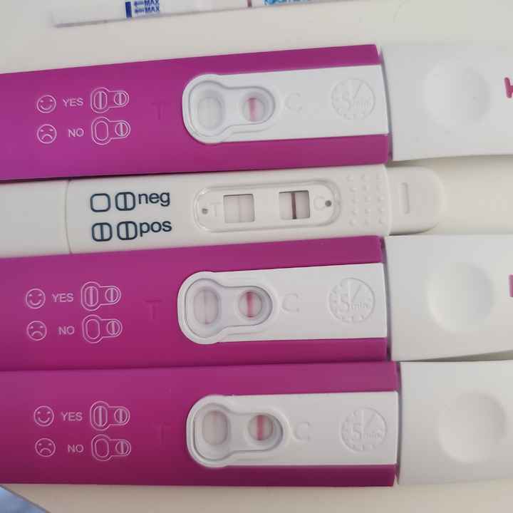 Buscadoras Enero 2021 🌼💞🤰🏼 - 1