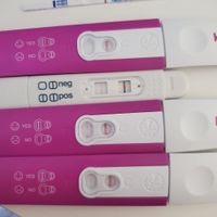 ¿A cuántos dias dpo visteis el positivo? - 4