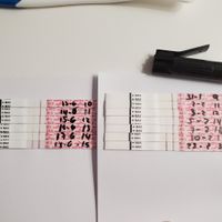 ¿A cuántos dias dpo visteis el positivo? - 5