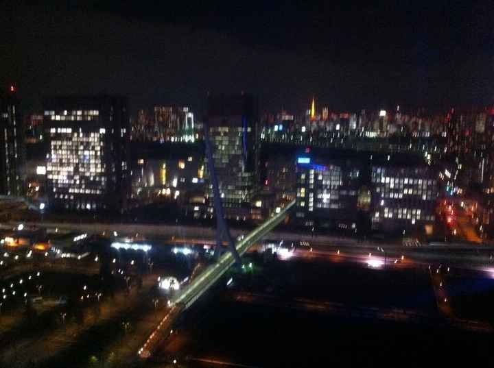 Tokio desde la noria de Odaiba