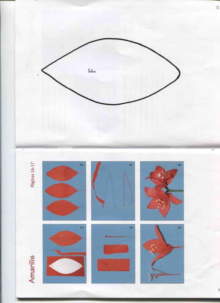 Página 28-29 Amarilis