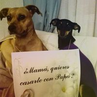 Parte de mi pedida