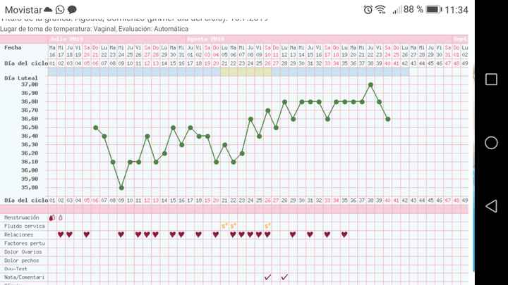 Experta en gráficas Temp. Basal - 1