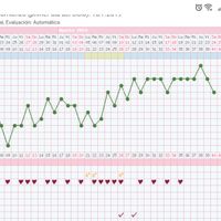 Experta en gráficas Temp. Basal - 1