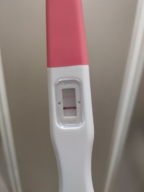Test de embarazo, positivo? - 1