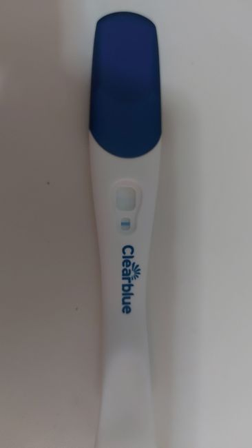 Buscadoras Septiembre 2025🌹💐 4