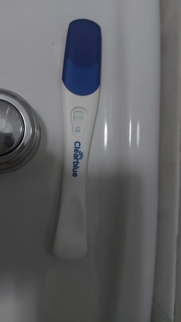 Buscadoras Septiembre 2025🌹💐 5