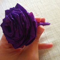 Rosa (lila jeje)