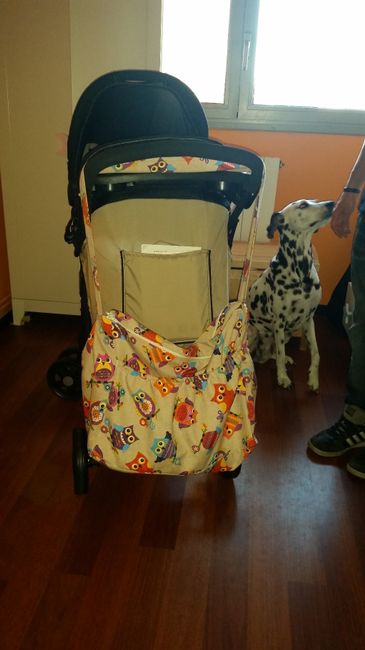 Bolsa carrito