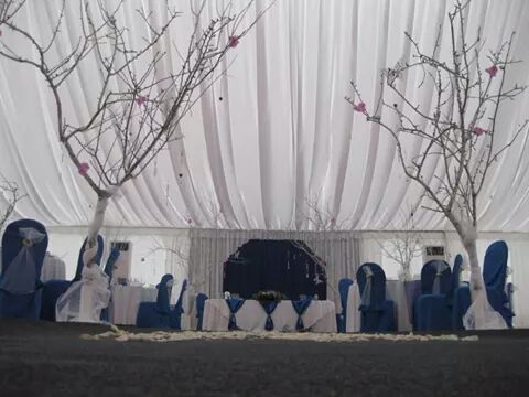 carpa 