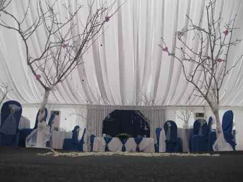 carpa 