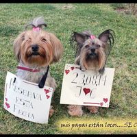 Nos casamos!