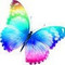 Ainhoa