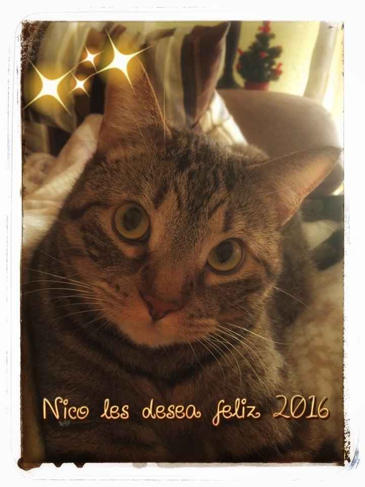 Feliz 2016!!!! - 1