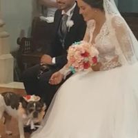 Mascotas en la iglesia? si o no - 1