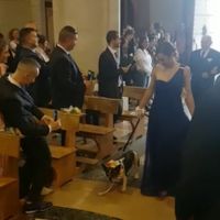 Mascotas en la iglesia? si o no - 2