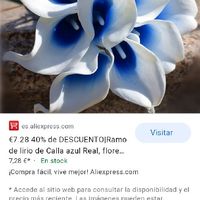 Ramo azul (como todo 🙊) - 1