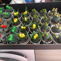 Regalitos mujeres - 2