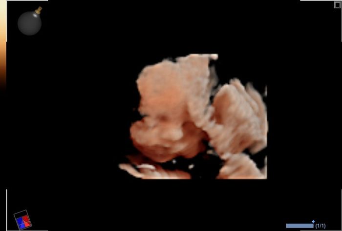 mamis noviembre 2019 oficial - 2