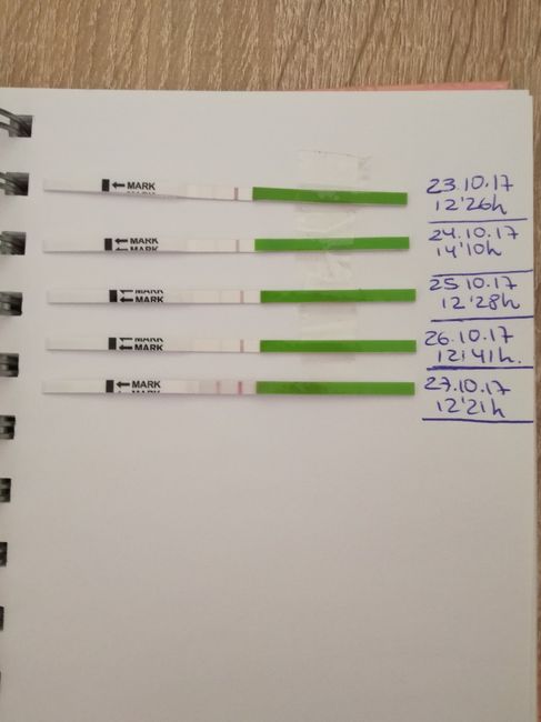 Para las expertas en To, creéis que este último de hoy es casi positivo? Es que no me acabo de aclar