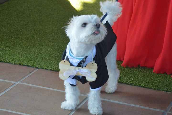 Los momentos "peludos" de nuestra boda 🐶 - 1