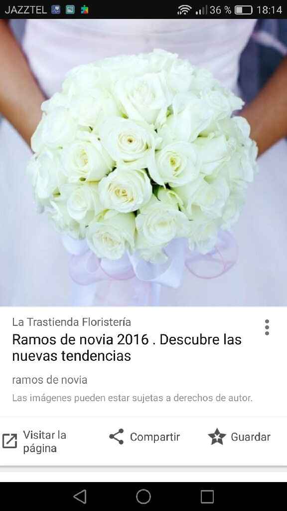 Ramos baratos - 1