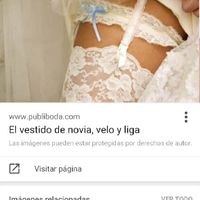 Liga y liguero - 2