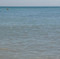 Vero