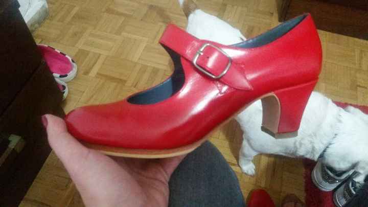 Mis zapatos flamencos