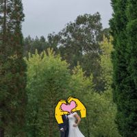 Vestido de novia - 1