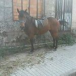 Julio