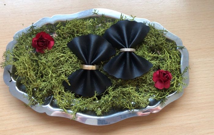 Nuestras alianzas