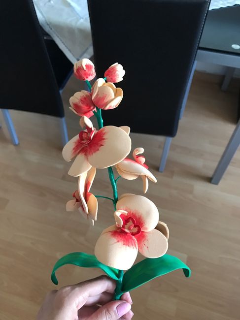 orquídea