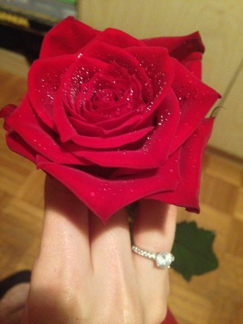 Anillo de compromiso - 1