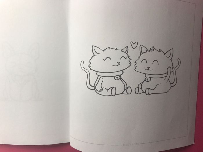 Gatitos!! 