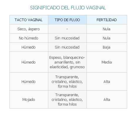flujo