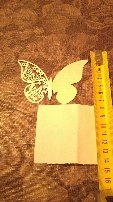 Mariposa copas - 1