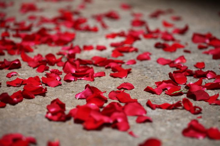 petalos