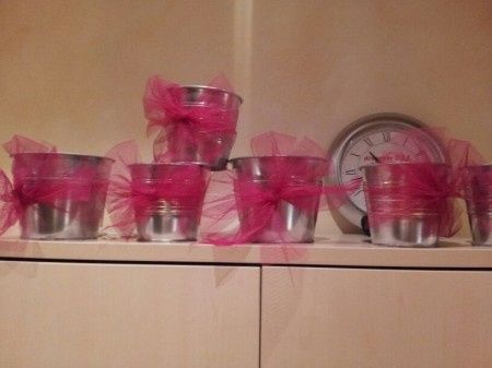 Cuencos Chuches