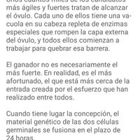 Buscadoras Abril 2019 - 3