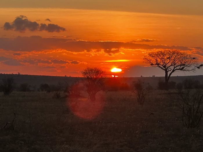 Luna de miel. Parte 1 (kenia)🦁 5