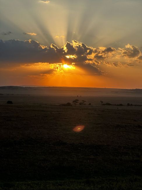 Luna de miel. Parte 1 (kenia)🦁 14