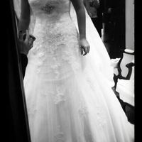 Mi fantástico vestido de novia