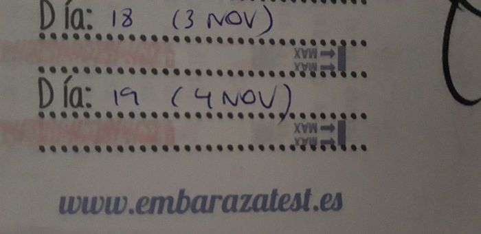 Buscadoras Noviembre 2019 - 1