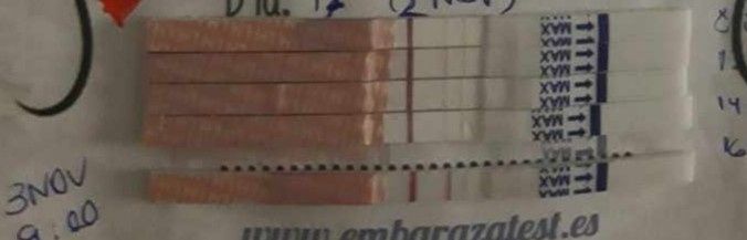 Buscadoras con sop (nuevo) - 2