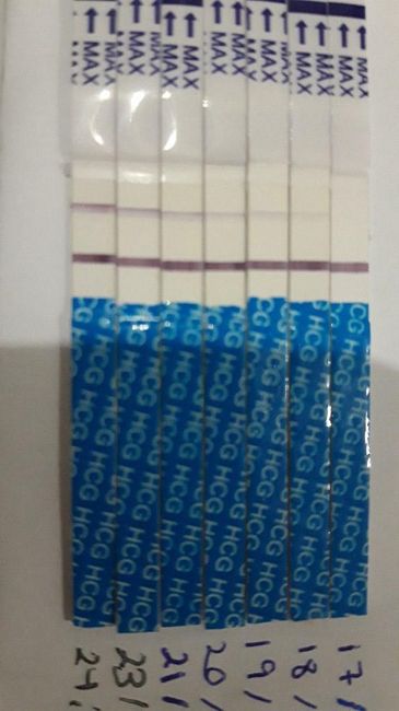 Pruebas Abortos de Repetición - 1