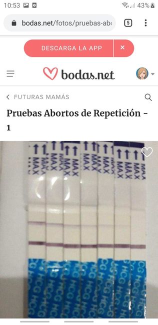 Buscadoras Enero 2020 - 1