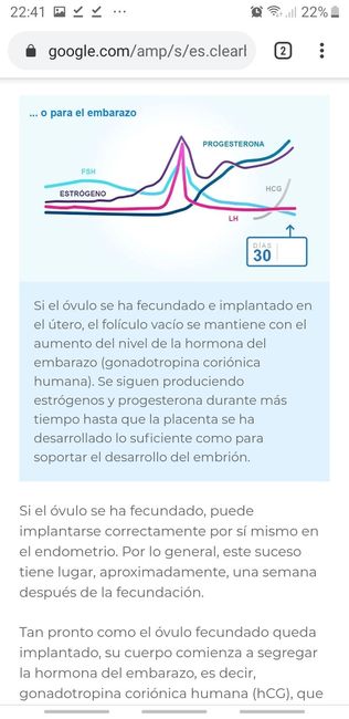 Buscadoras Enero 2020 - 2