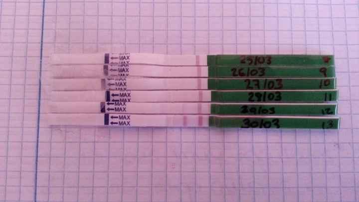 evolucion de los TO